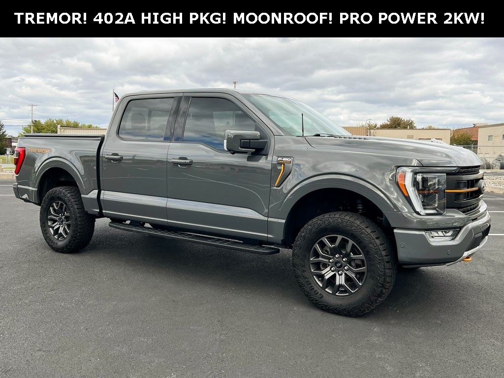 2021 Ford F-150 Tremor's photo