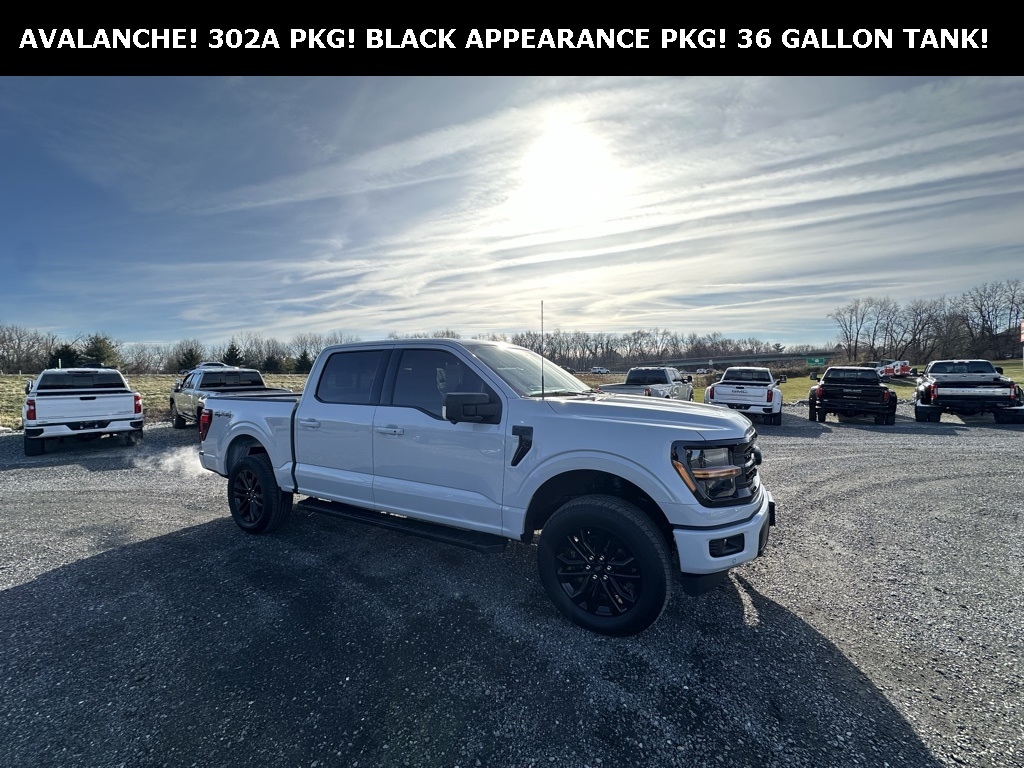 2024 Ford F-150 XLT's photo