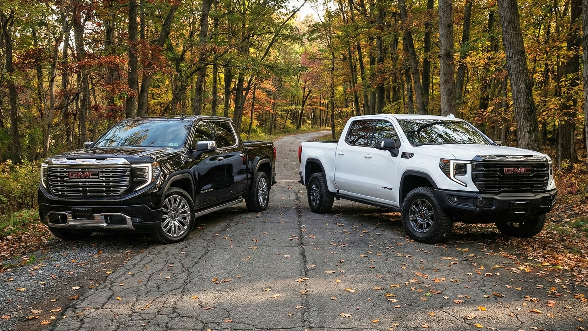 ultimate vs at4x.jpg