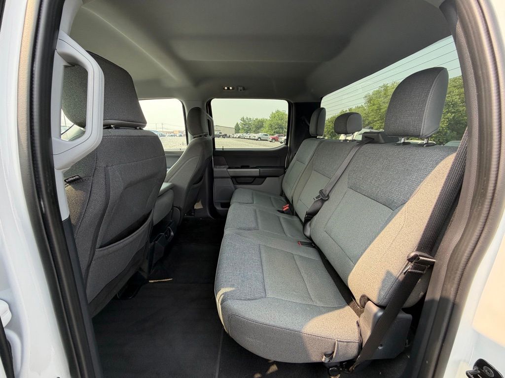 2024 Ford F-150 XLT - Photo 6