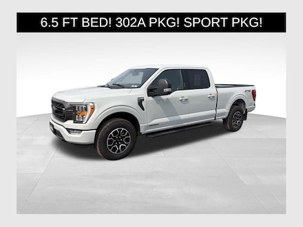 2023 Ford F-150 XLT Truck