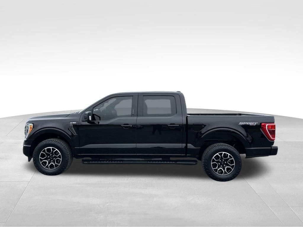 2023 Ford F-150 XLT - Photo 11