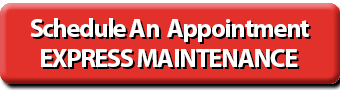 Schedule your vehicles next service appointment at Mark Miller
Toyota