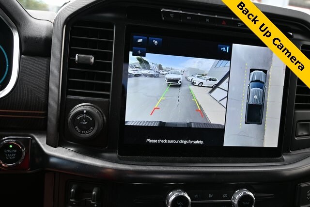 2021 Ford F-150 Platinum photo 4