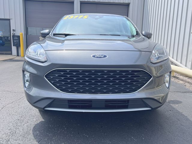 2022 Ford Escape SEL photo 2