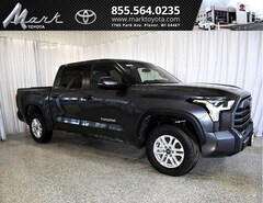 New 2026 Toyota Tundra SR5 Truck CrewMax T1256 Plover, WI
