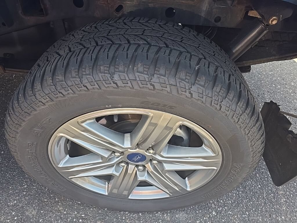 Used 2019 Ford F-150 XLT Truck