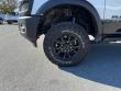 2026 Ram 2500 POWER WAGON CREW CAB 4X4 6'4 BOX Pickup