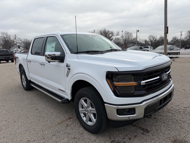 2025 Ford F-150 XLT's photo