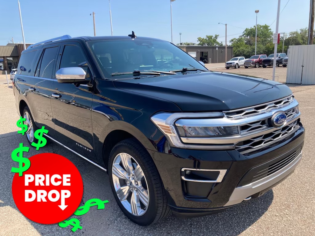 2022 Ford Expedition Platinum's photo