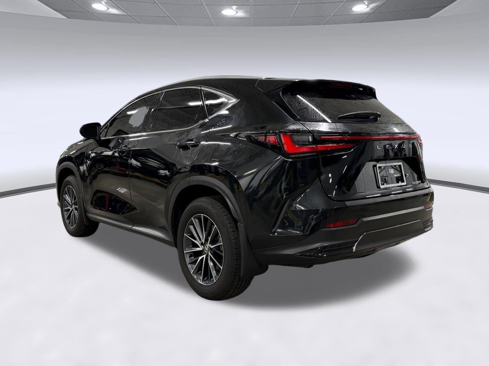 NX NX 250 Premium