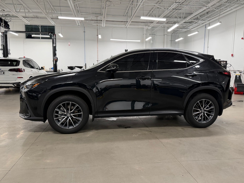 Used 2025 Lexus NX NX 250 Premium