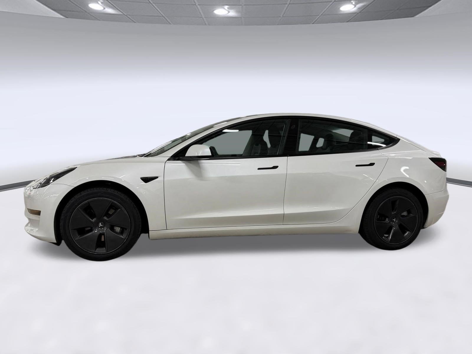 Used 2023 Tesla Model 3 Base with VIN 5YJ3E1EA0PF575331 for sale in Orlando, FL