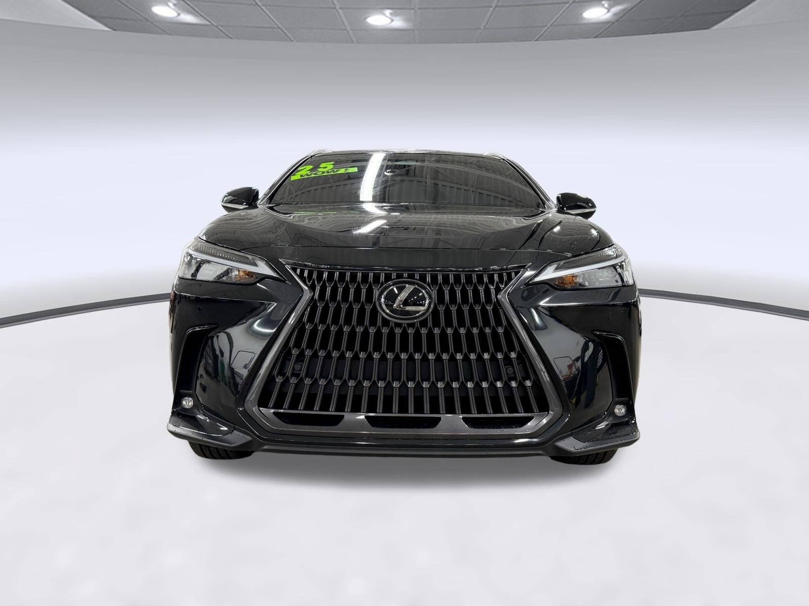 NX NX 250 Premium
