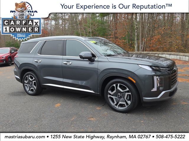 2024 Hyundai Palisade Limited's photo