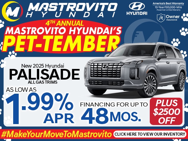 2024 Hyundai Palisade Calligraphy photo 2