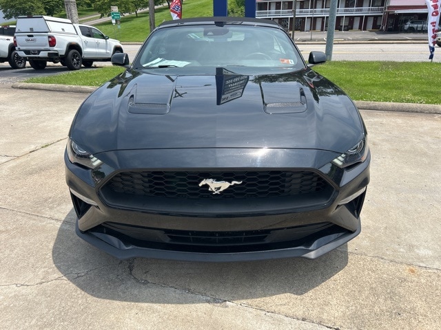 Used 2023 Ford Mustang EcoBoost Premium with VIN 1FATP8UH8P5103743 for sale in Saint Marys, WV