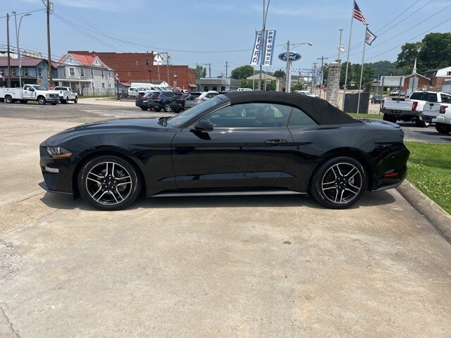 2023 Ford Mustang EcoBoost Premium Convertible photo 3