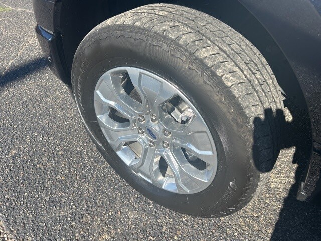 2021 Ford F-150 Platinum photo 4