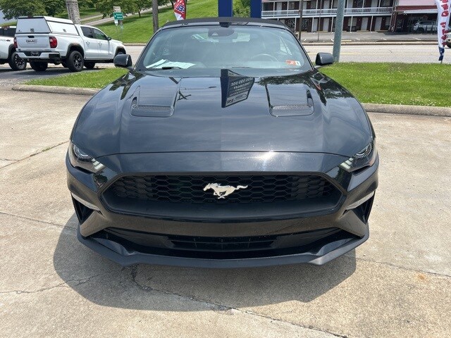 2023 Ford Mustang EcoBoost Premium Convertible photo 2