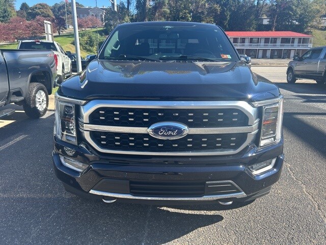 2021 Ford F-150 Platinum photo 2