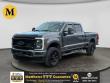 Certified 2023 Ford F-350  Truck Crew Cab