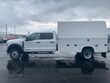 Ford F-550 Chassis