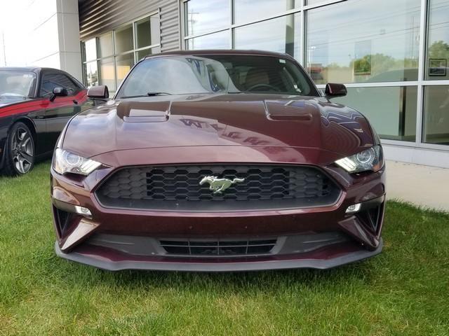 2018 Ford Mustang EcoBoost Premium photo 2