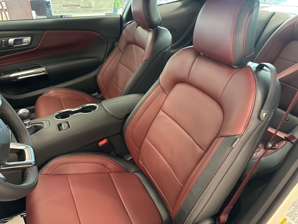 2025 Ford Mustang GT Premium Fastback - Photo 17