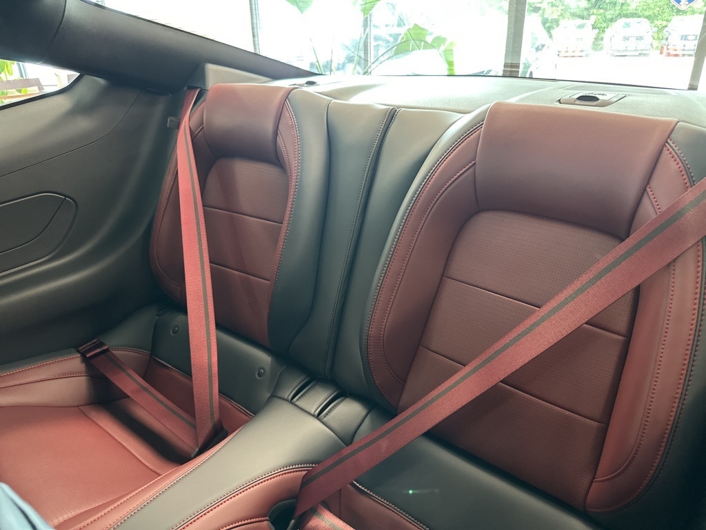 2025 Ford Mustang GT Premium Fastback - Photo 18