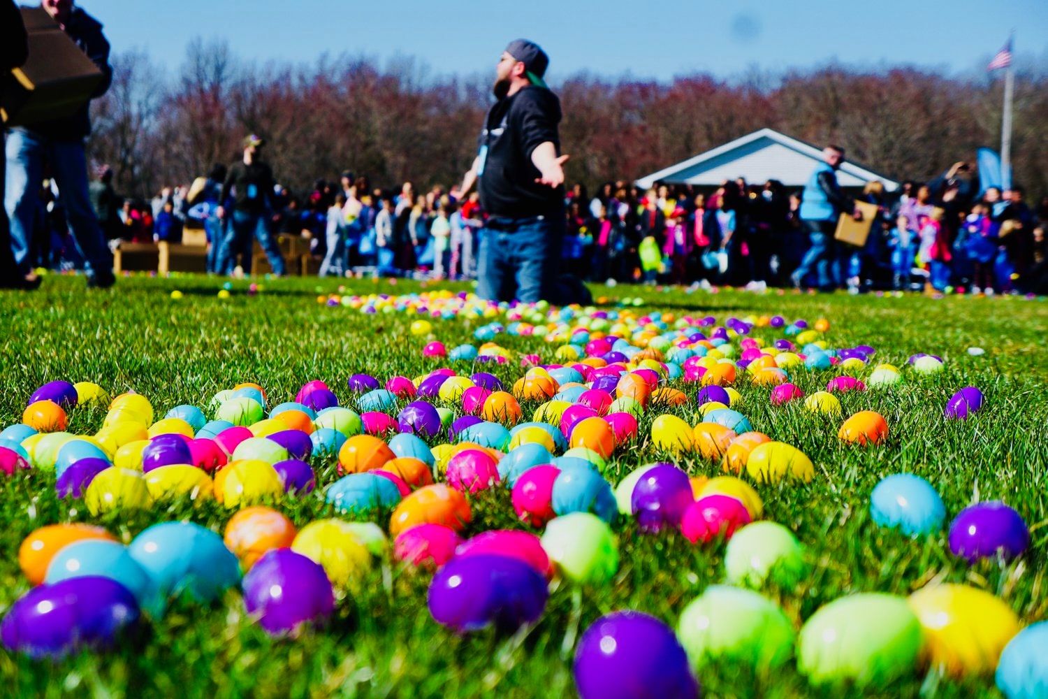 egggggs.jpeg