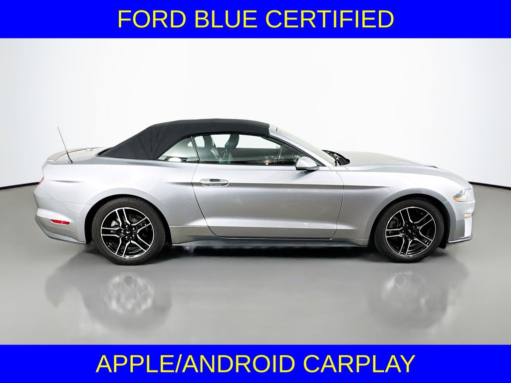 2023 Ford Mustang EcoBoost Premium photo 4