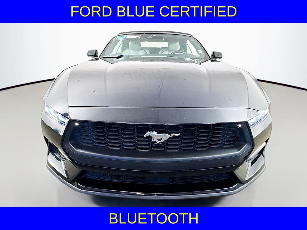 2024 Ford Mustang EcoBoost Premium photo 2
