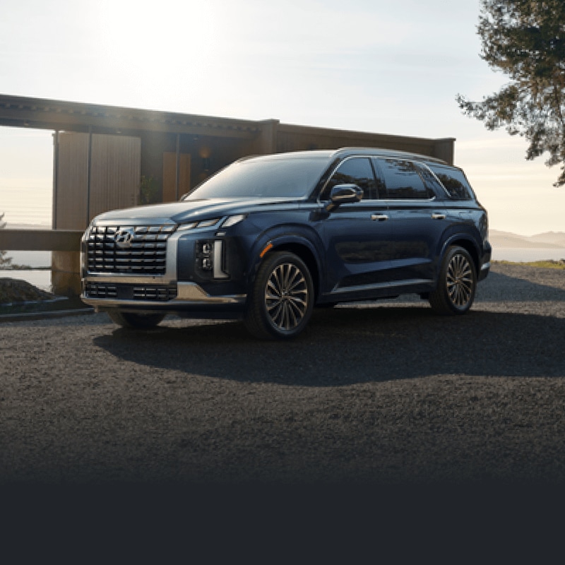 New Hyundai Palisade