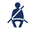 Hyundai Seat Belt Warning