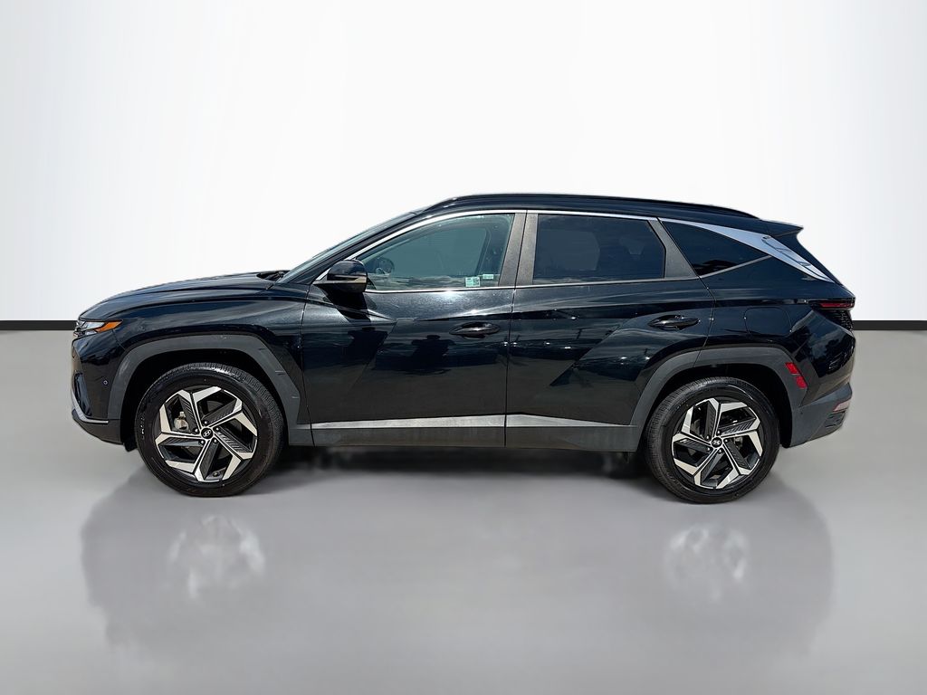 2024 Hyundai Tucson Limited - Photo 8