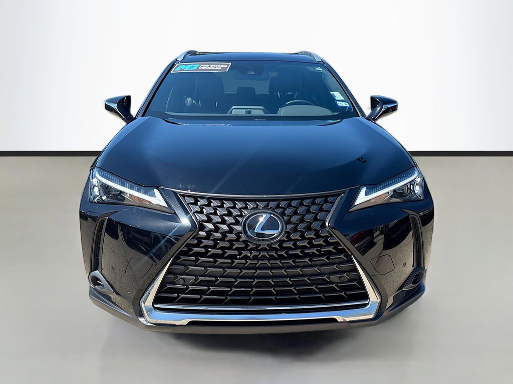 2024 Lexus UX 250h photo 2