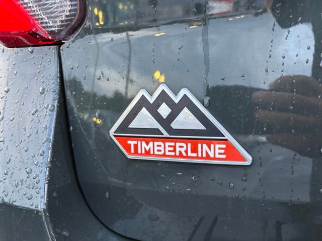 2022 Ford Explorer TIMBERLINE - Photo 10