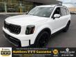 Used 2025 Kia Telluride EX SUV