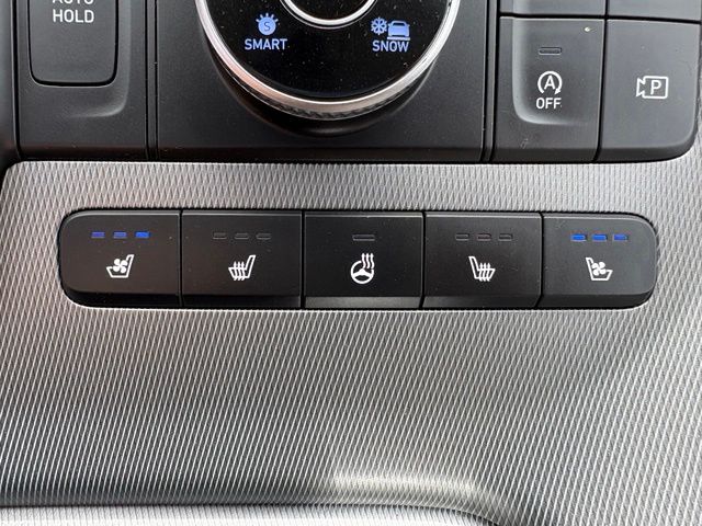 2024 Hyundai Palisade Limited - Photo 30
