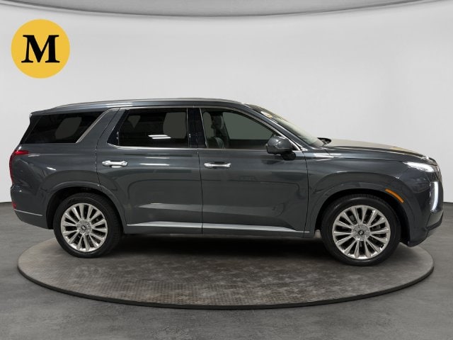 2020 Hyundai Palisade Limited - Photo 6