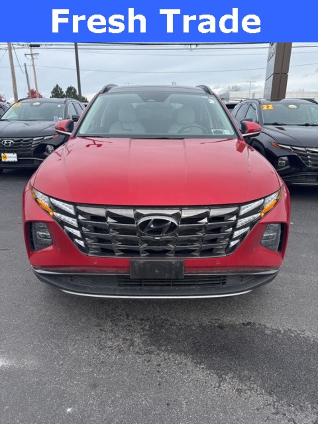 Used 2022 Hyundai Tucson Limited SUV