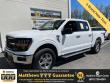 Used 2025 Ford F-150 XLT Truck SuperCrew Cab