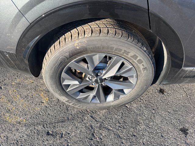 2023 Kia Sportage SX Prestige Hybrid - Photo 6