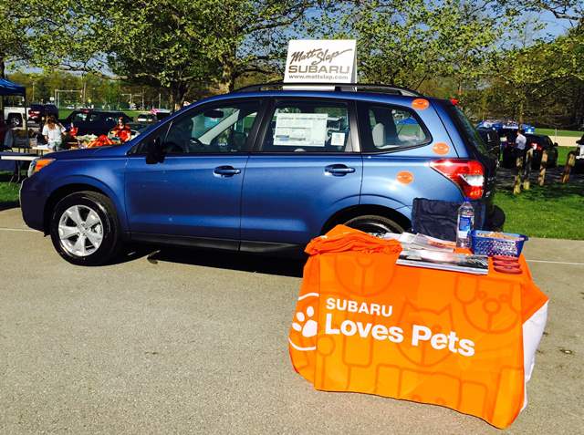 Newbark Pawlooza Car Setup.jpg