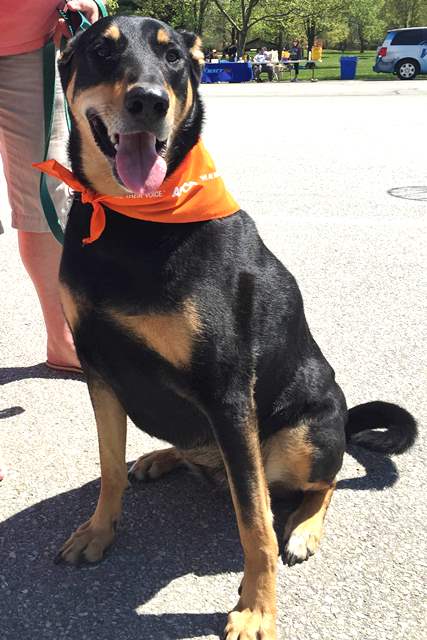 Sadie Pawlooza.jpg
