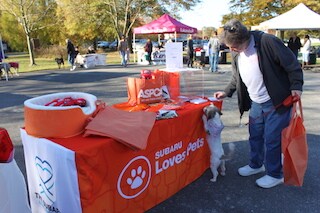 IMG_7587.JPG