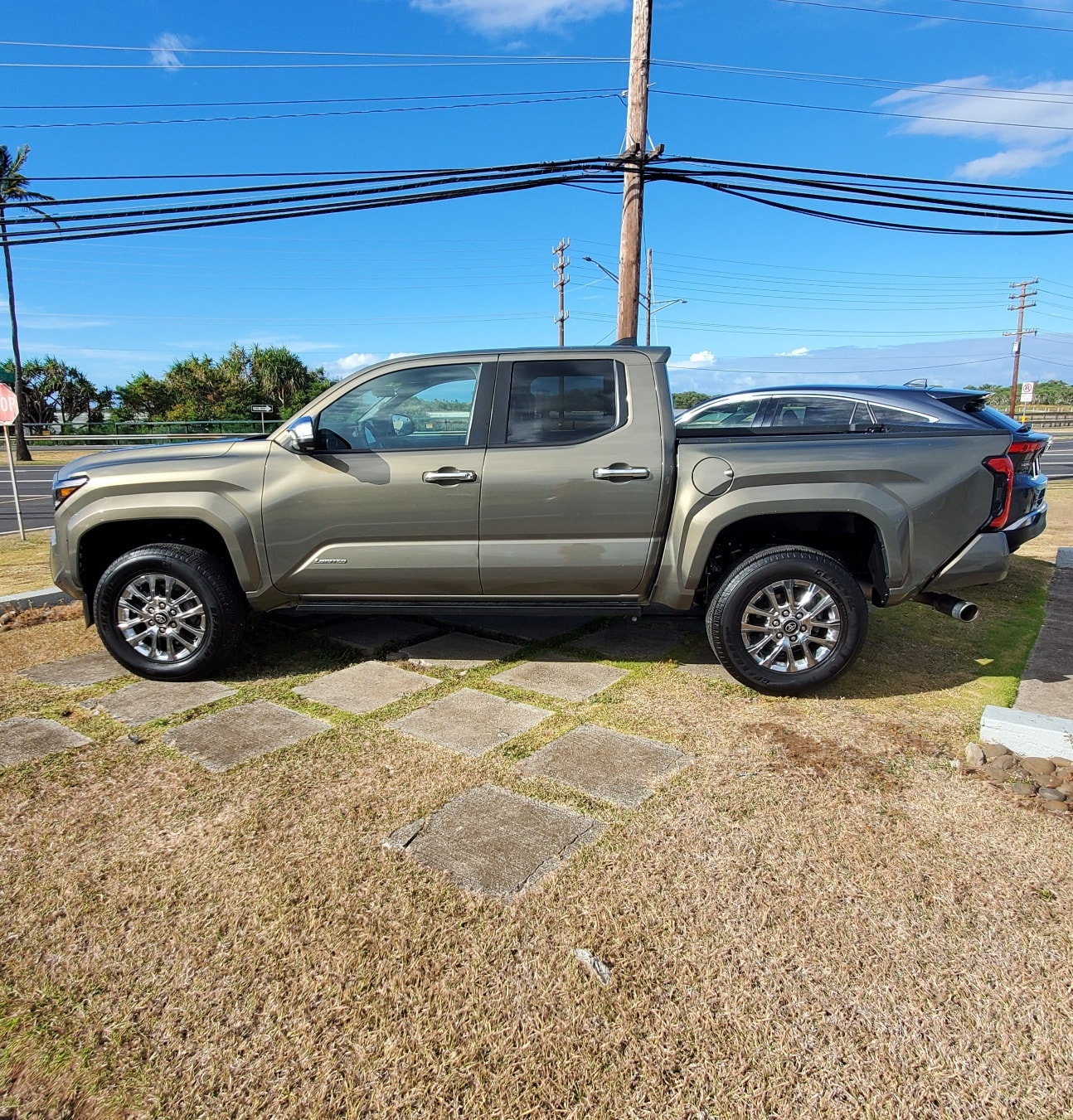 2024 Toyota Tacoma Limited 4x4 Double Cab's photo