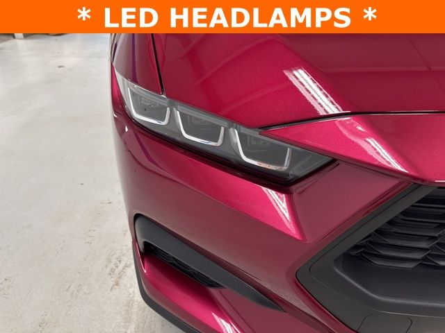 2025 Ford Mustang EcoBoost Premium Fastback - Photo 31