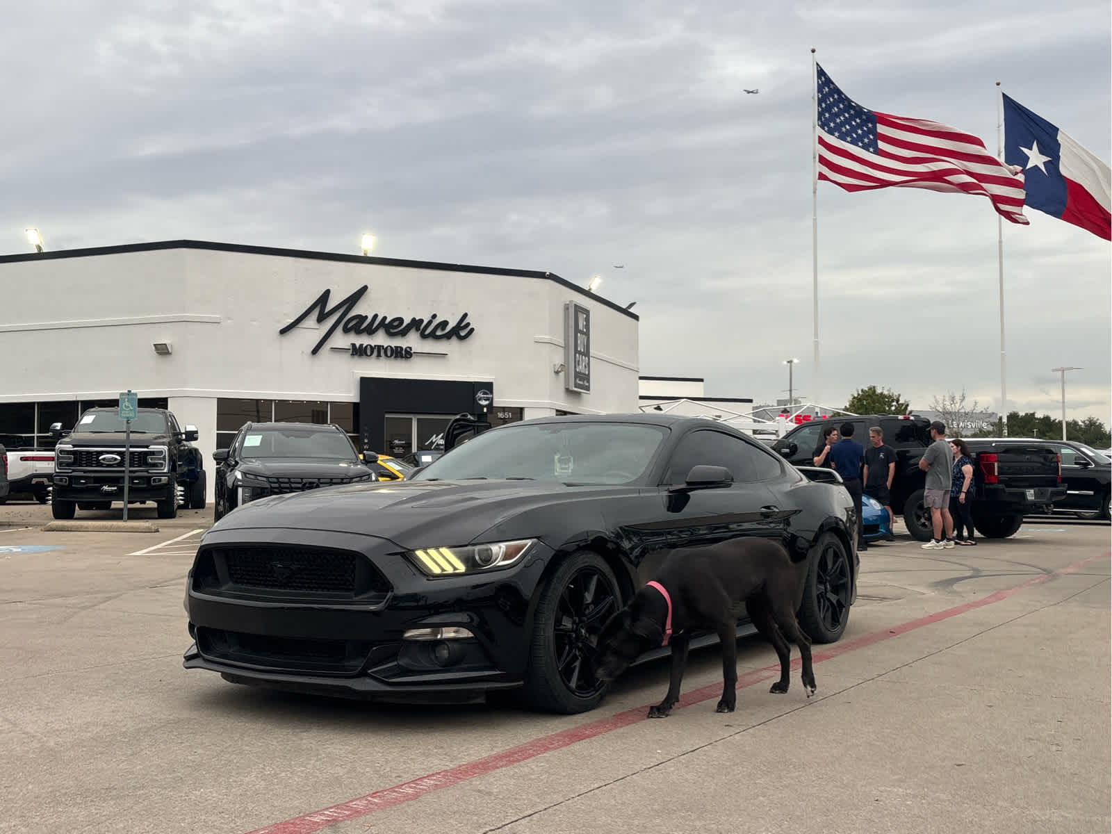  Ford Mustang